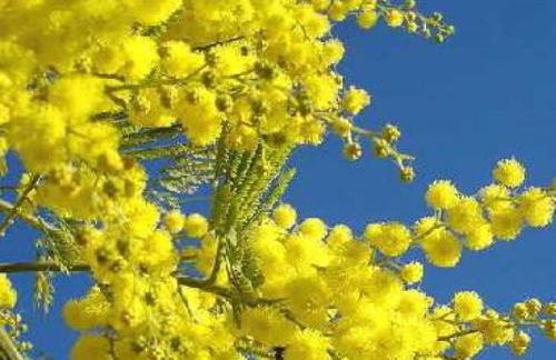 Studio indépendant climatisé - Foto 2