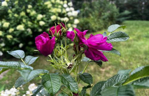 Stylish lake home with private beach, dock and firepit for swimming, kayaking, hiking - Foto 69