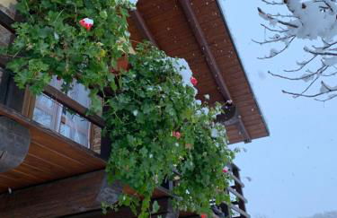 Mountain Chalet Ca' dal Ghiru by Villa Bernardino Galliari - Foto 6