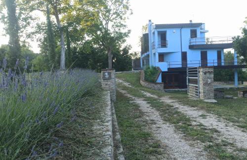 La Terrazza delle Noci - alloggio agrituristico - Foto 24