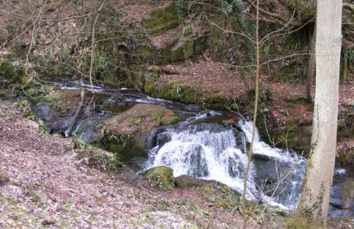 Beckbury Guesthouse - Foto 29