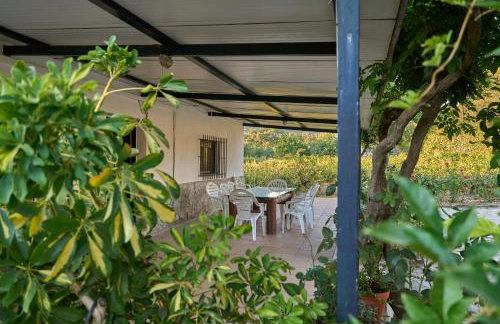 Huerta del Sol - Foto 4
