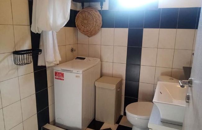 Beautiful Petrino 1880 - Photo 21