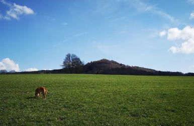 Landschule Rhön - Foto 39