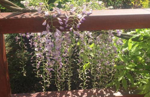 Uroczy dom i bezpłatny parking - Foto 29