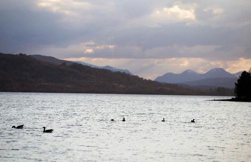 MacKintosh - Foto 16