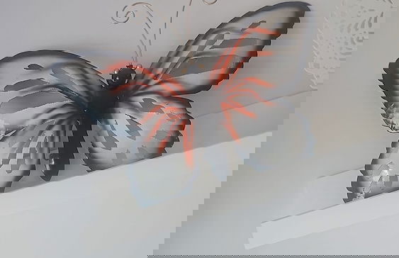 Cozy Beachside Haven - Photo 9