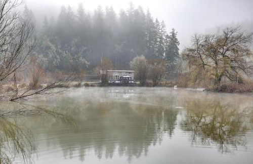 Great Outdoor Space! Serene Getaway in Oakland - Foto 28