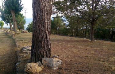 Los Tobares - Foto 38