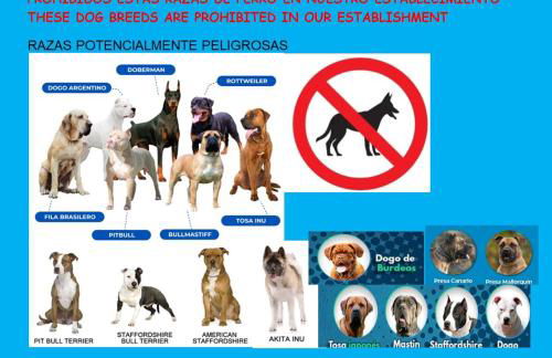 EDIFICIO EL MIRADOR -SITUADO en Playa del Puntal Villaviciosa Primera Linea Playa - Foto 21