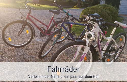 RamosHansenHof Fewo Hofglück 4Pers mit Hund - Foto 27