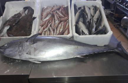 Agriturismo Fieri - Foto 55