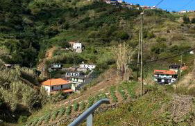 casa caminho da praia - Photo 19