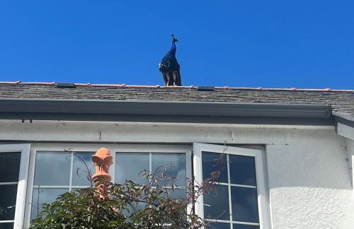 The Manor House Skerry Vore - Foto 79