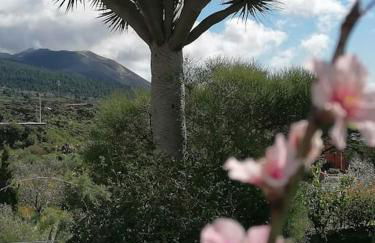 HACIENDA LA CENTENARIA,CASAS RURALES - Foto 6