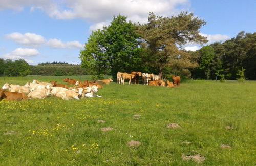 Wohnung in Zarnewanz nahe Ostsee - Foto 14
