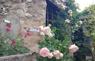 Les Gites du Mont Ventoux - Foto 66