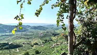 Relax nelle colline del Prosecco - Foto 3