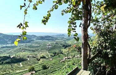 Relax nelle colline del Prosecco - Foto 3