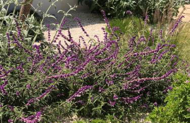 Appartamenti San Lorenzo Marzamemi Cecilia - Foto 35