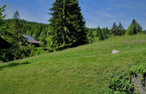 Schwarzwald-Hotel Kraeutle - Foto 48