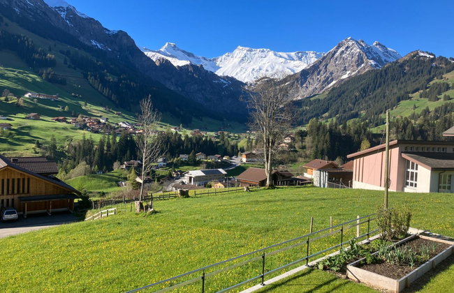 Lohnerblick - Photo 20