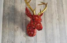 La Cigotà - Villa with swimming pool for 8 people - Foto 11