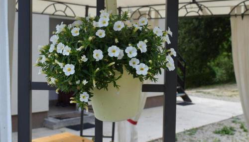 Apartments with parking space Tuheljske Toplice - Zagorje - 24875 - Foto 4