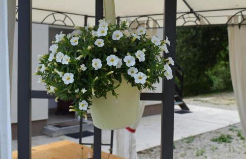 Apartments with parking space Tuheljske Toplice - Zagorje - 24875 - Foto 4