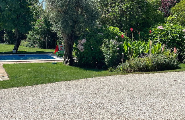 Quinta Retreat With Pool and Olive Grove - Foto 33