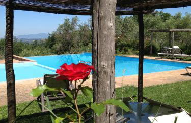 Podere La Casetta - Casa di Campagna - Foto 25