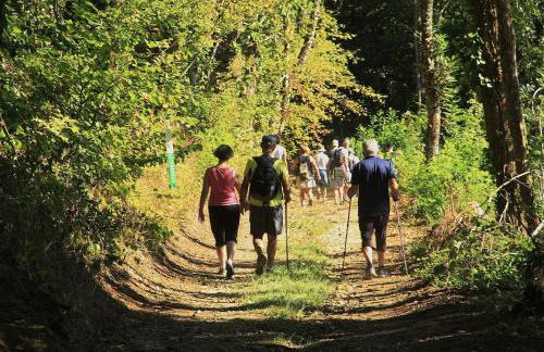 Chalet Cosy 7 pers Nature avec Piscine - Foto 30