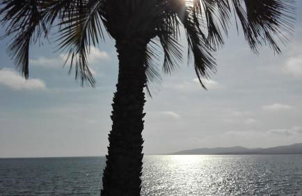 Les Studios Famandiers - Foto 19