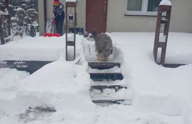 Mogielicki Zakątek - Photo 23