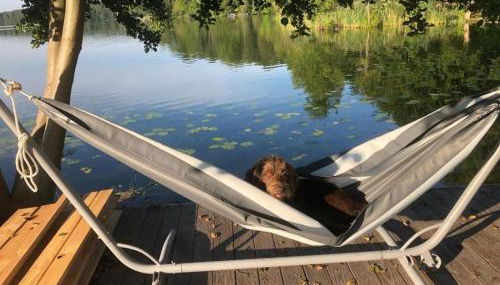 Forsthaus am See Lychen - Photo 2