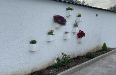 El Gallinero - Foto 41