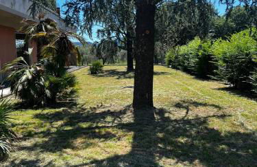 Tiny Deluxe - Sarzana - Foto 13