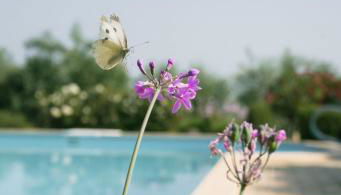 Casa Marie Leonie - Foto 5