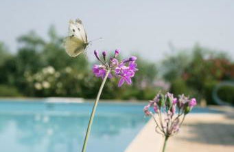 Casa Marie Leonie - Foto 5