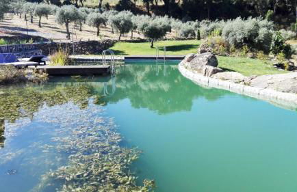 Bela Vista Silo Housing - Foto 18