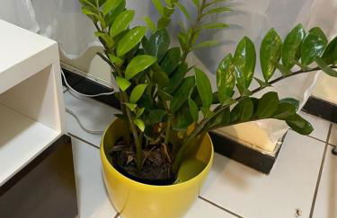 AP Confortável e Funcional próximo ao Aeroporto e Embaixadas - Foto 29