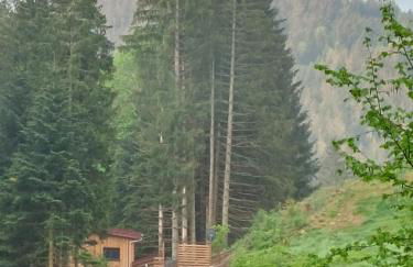 Le Refuge perché du saut de la bourrique, SPA, terrain clôturé, bordure de forêt - Foto 18