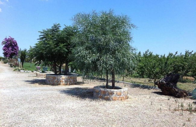 Agriturismo Sant'Andrea - Foto 52