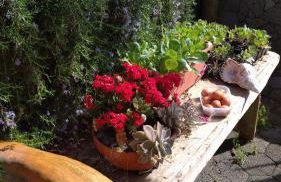 Quinta da Maria - Foto 30