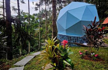 Domo Suíte Real - Foto 5