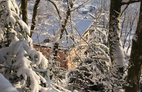 Villa Cora Venez neuve avec SPA - Foto 67