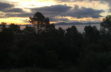 Les Lucioles - Photo 18