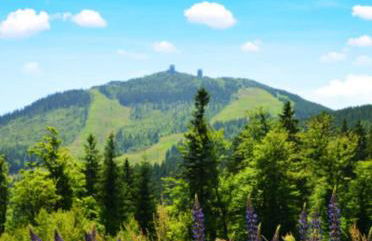 Ferienwohnung HOAMAT Schmalzreich Andrea - Foto 44