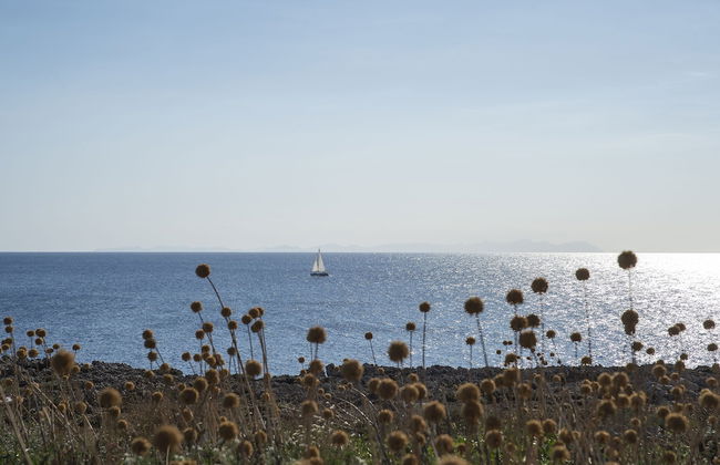 Pierre & Vacances Menorca Cala Blanes - Foto 19