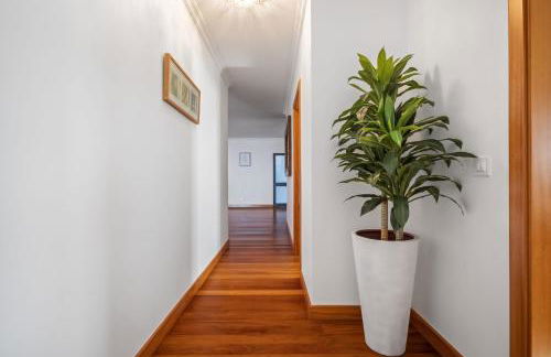 Faias Haven by Homie - Foto 48